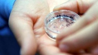 马来西亚三代试管婴儿是哪家医院？辅助妊娠机构推荐名单