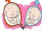 试管婴儿的费用可以用医保报销吗？试管报销政策最新解读