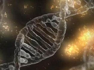 担心做试管婴儿对母体有伤害？做试管婴儿对母体有伤害吗？